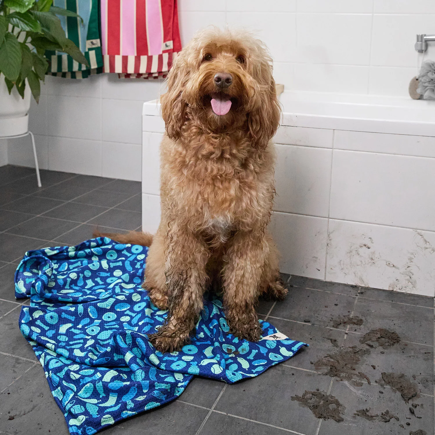 Dock & Bay Dog Towel - A Dogs Dinner - Image 6