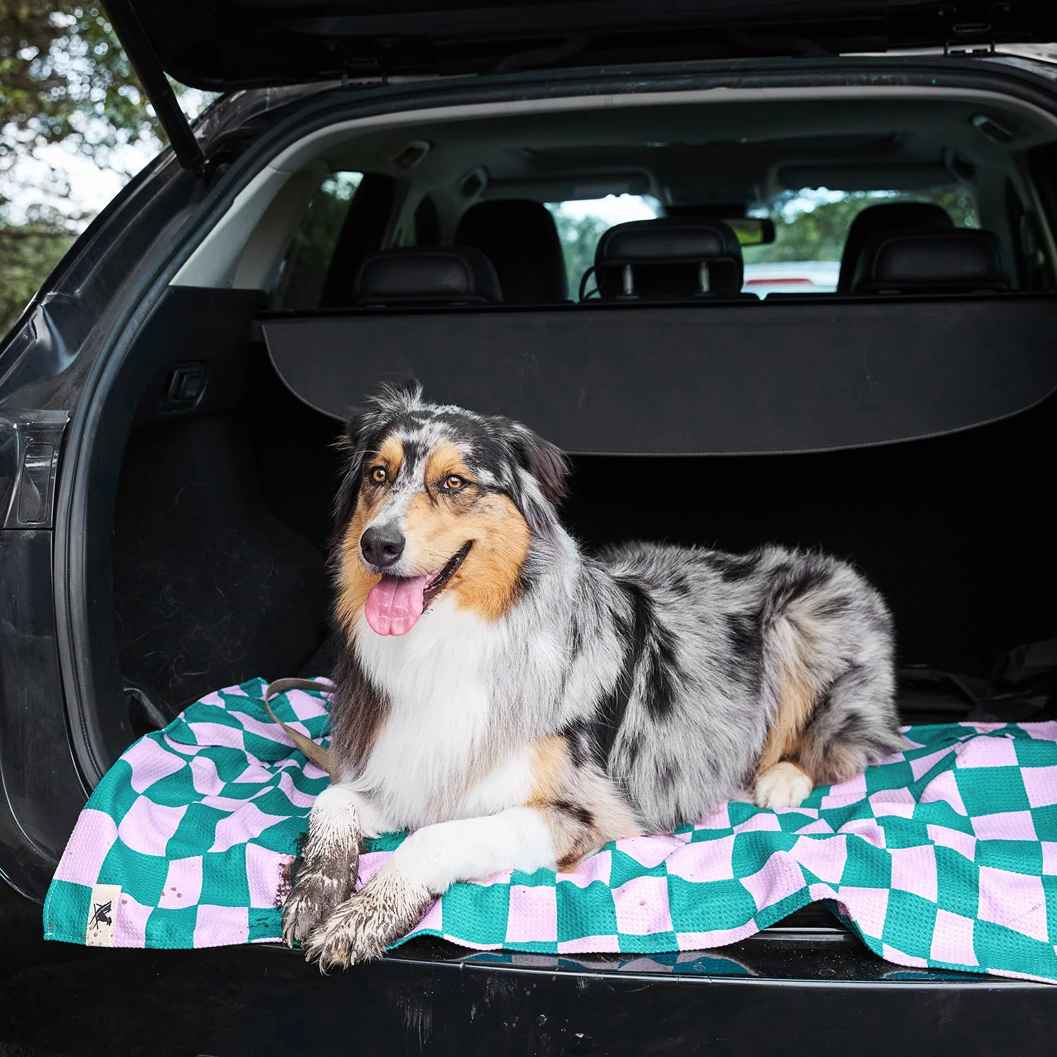 Dock & Bay Dog Towel - Check Mutt - Image 4