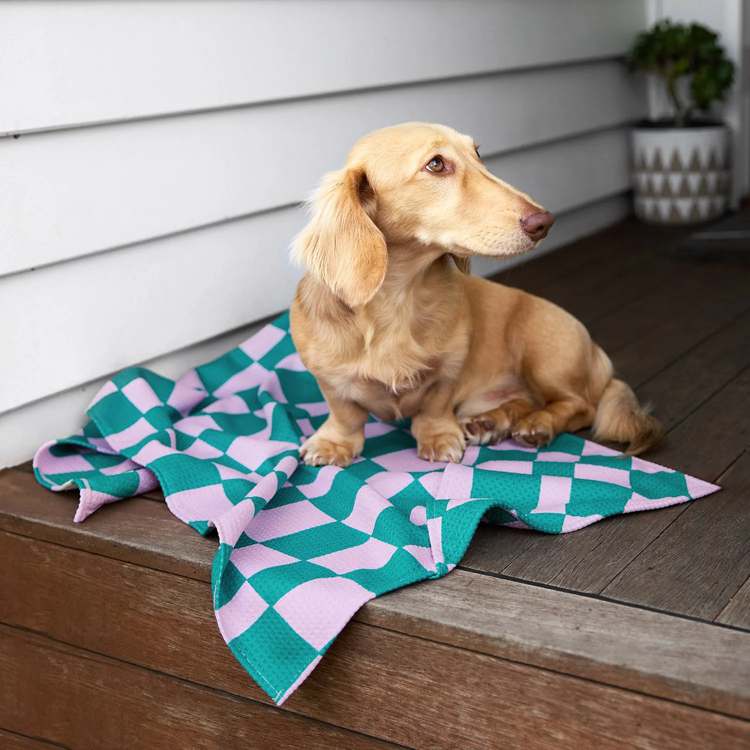 Dock & Bay Dog Towel - Check Mutt - Image 9