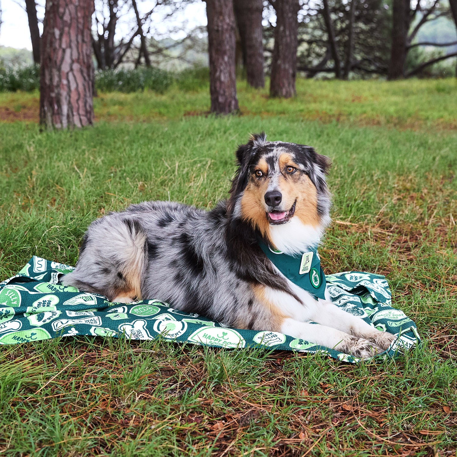 Dock & Bay Dog Towel - Dog & Bay Club - Image 12