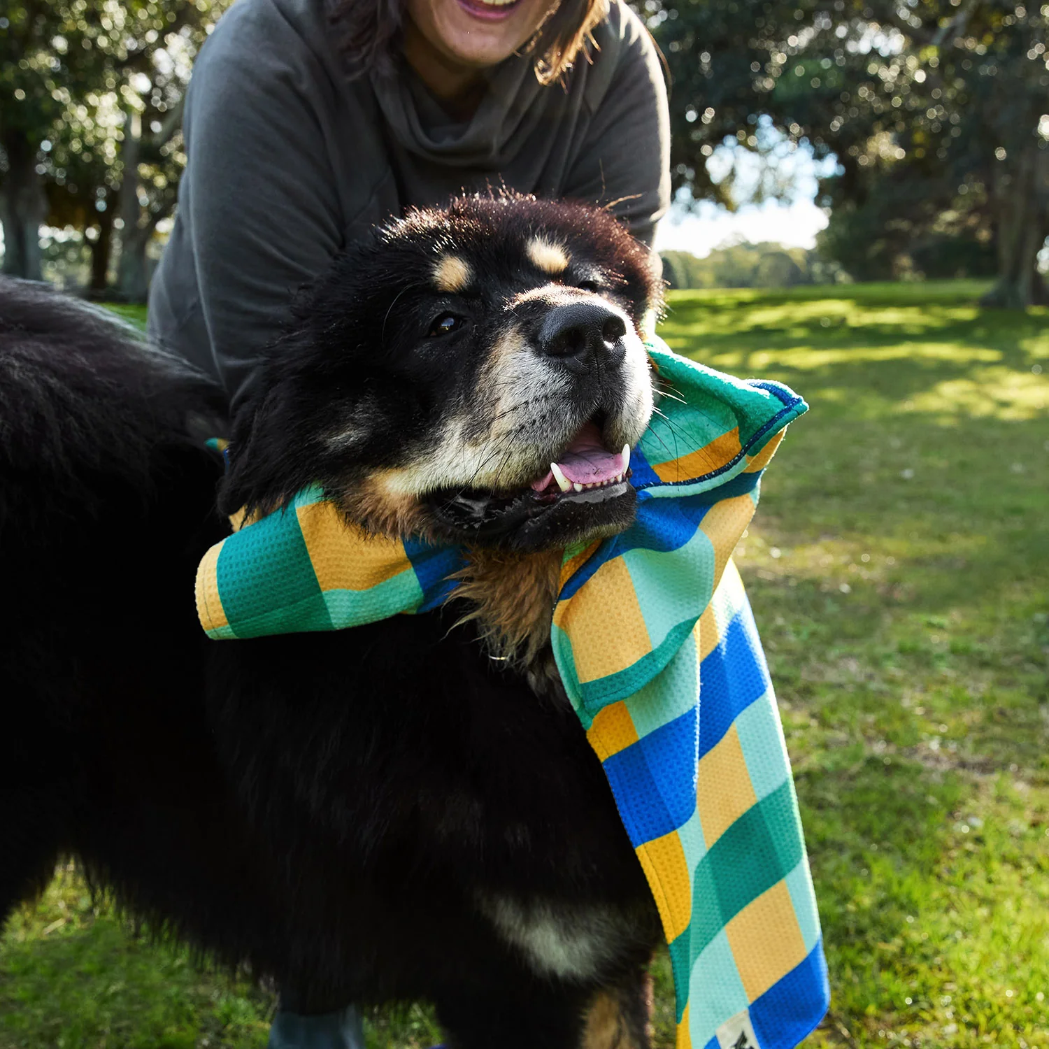 Dock & Bay Dog Towel - Puppy Plaid - Image 6
