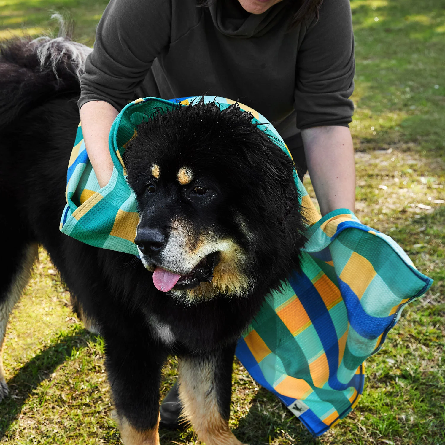 Dock & Bay Dog Towel - Puppy Plaid - Image 9