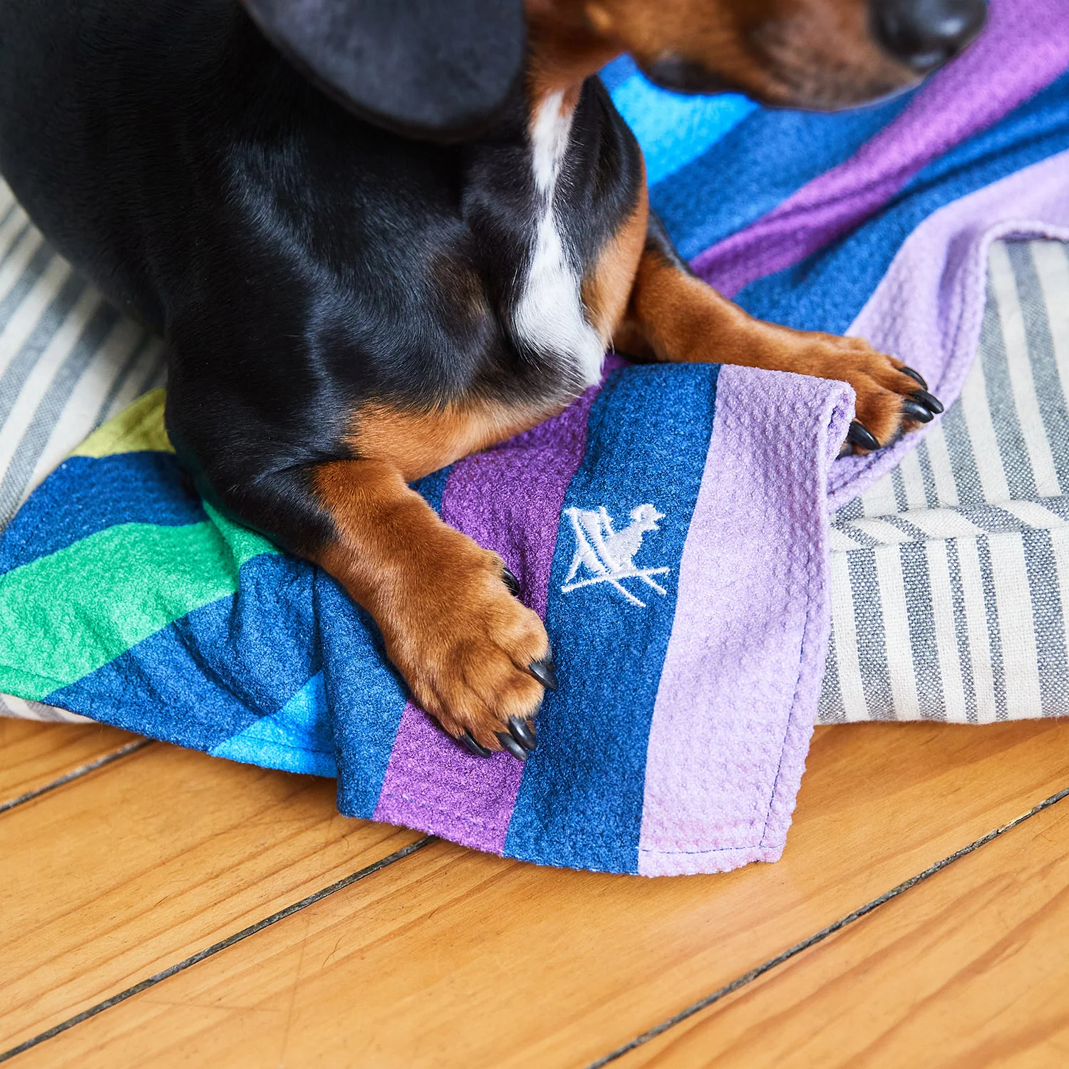 Dog & Bay - Towels for Pets - Pups with Pride - Image 2