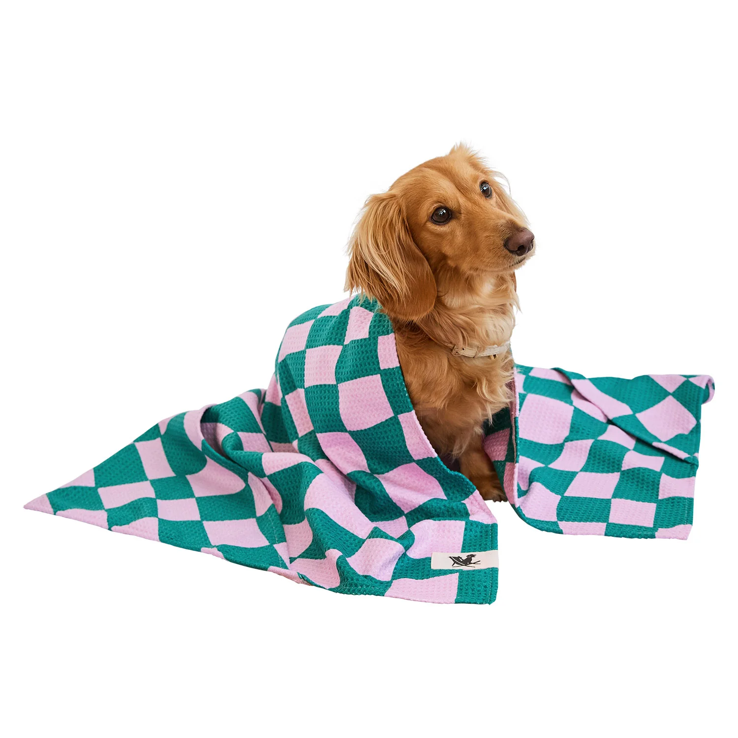 [COMBINED LISTING] Dog Towel Quick Dry - Single - Image 2