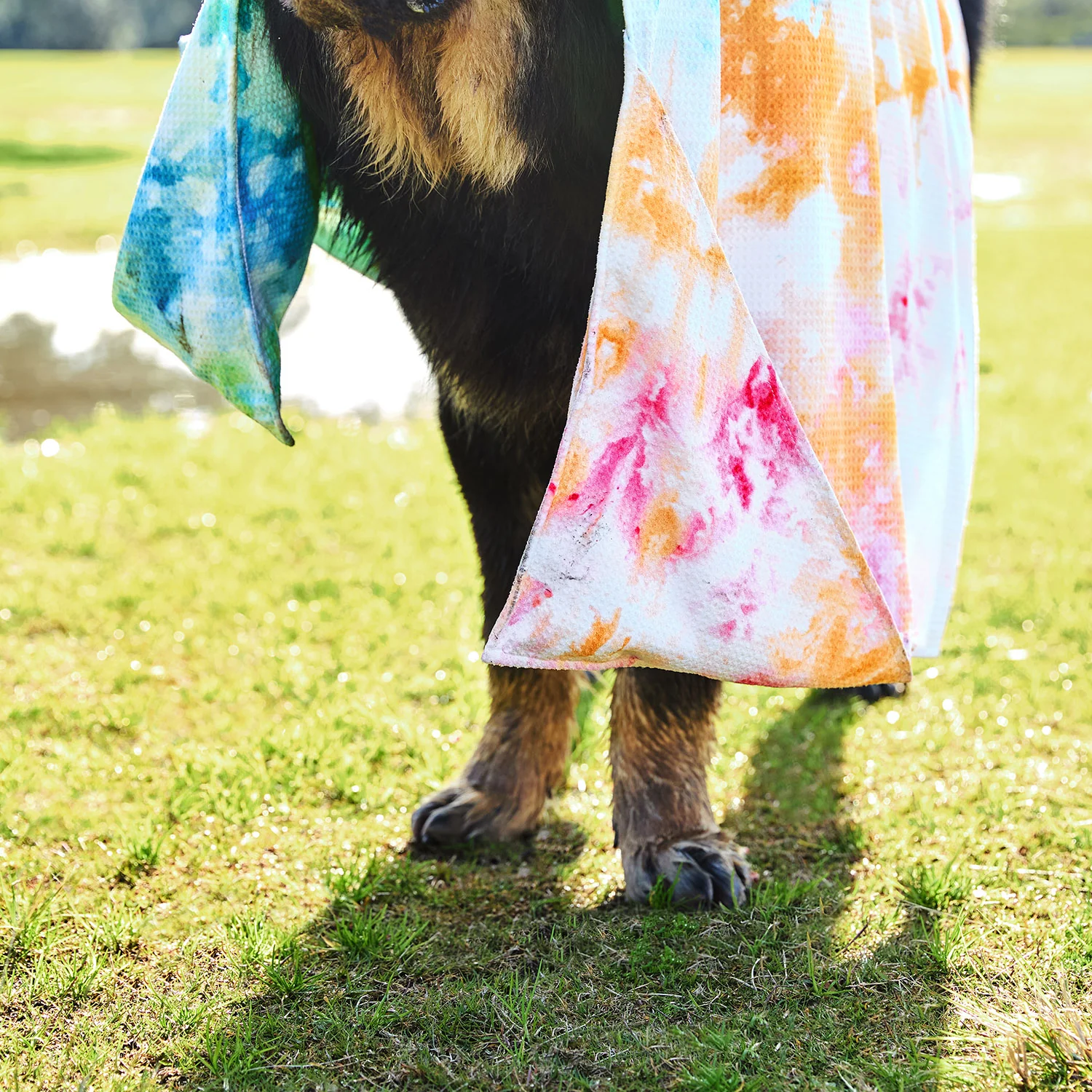 Dock & Bay Dog Towel - Sunset Splash - Image 7