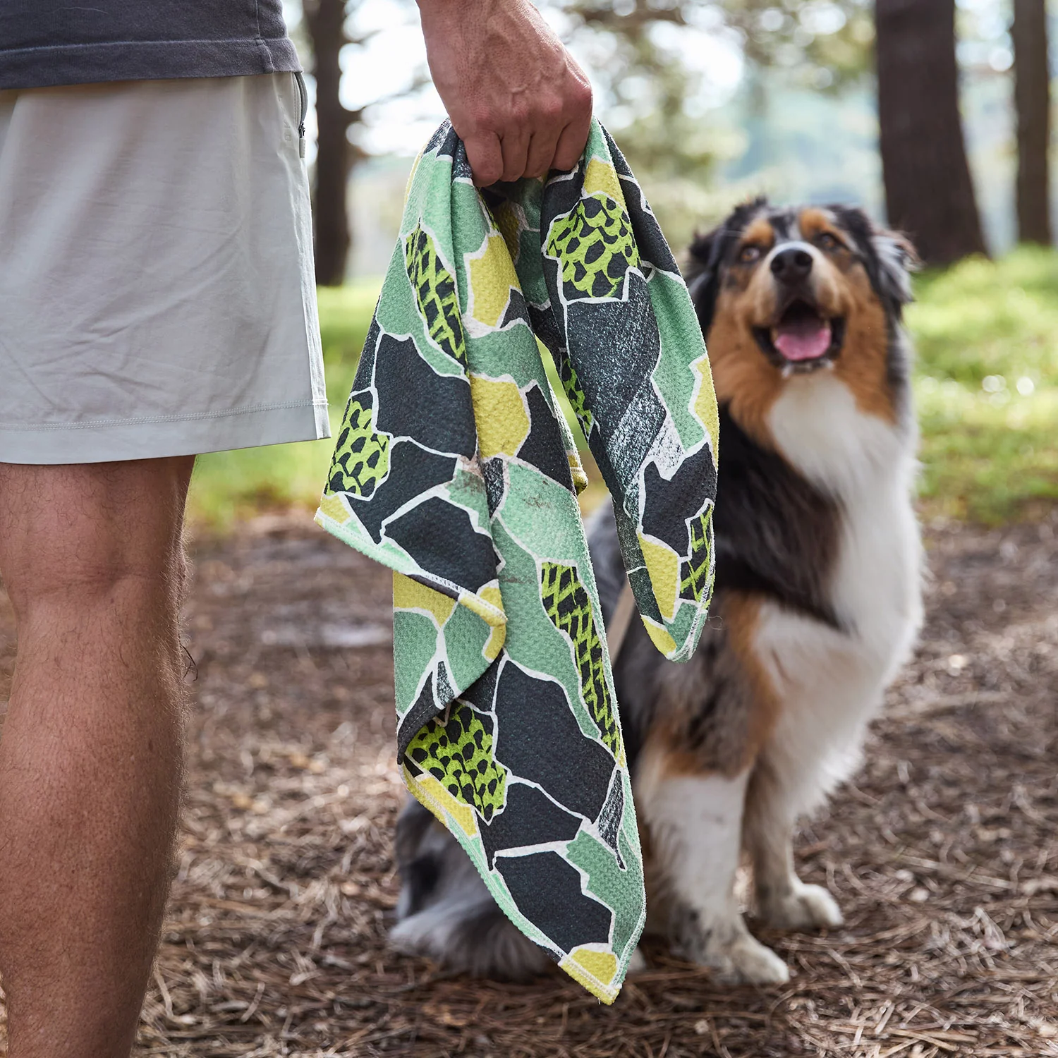 Dock & Bay Dog Towel - Undercover Walkies - Image 3