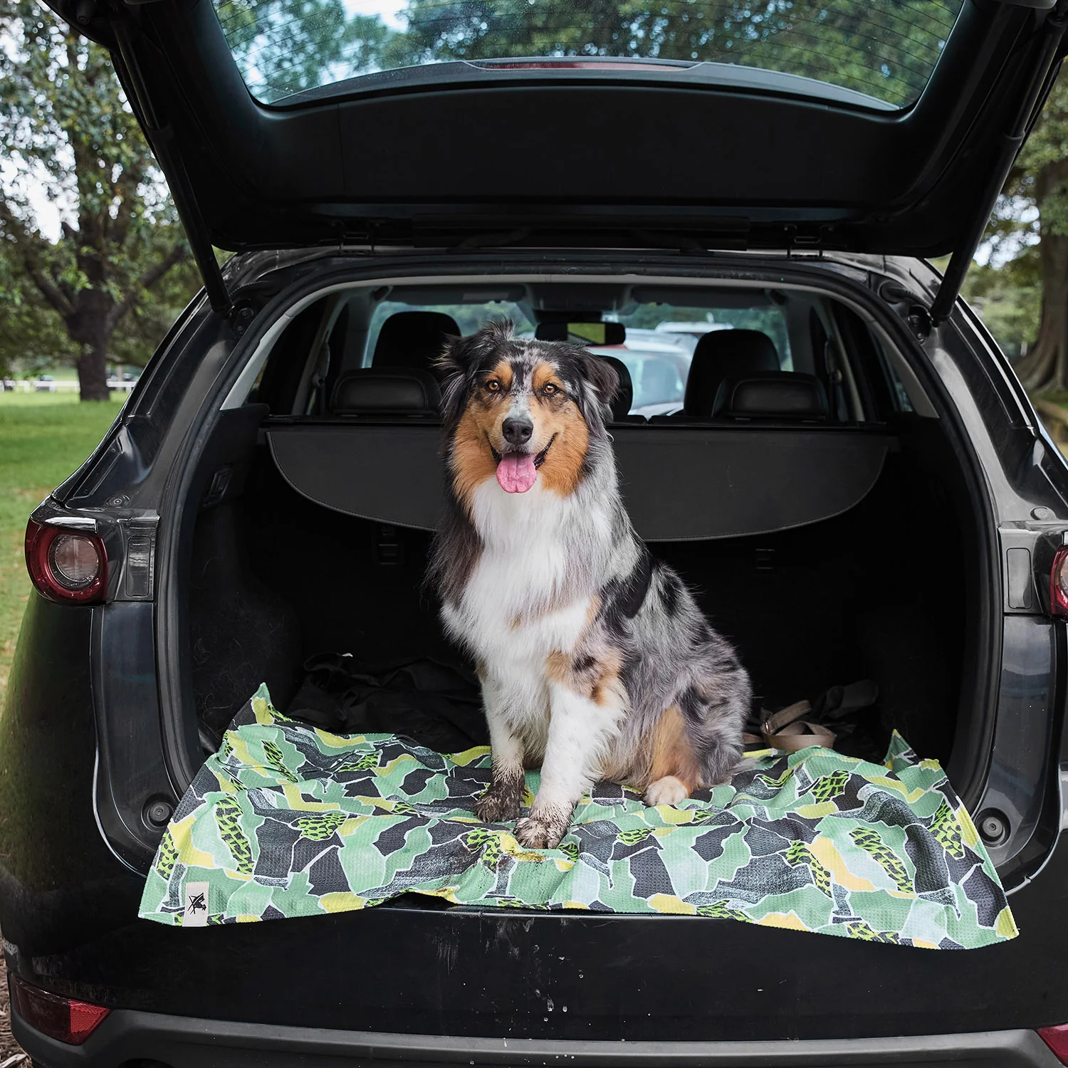 Dock & Bay Dog Towel - Undercover Walkies - Image 8