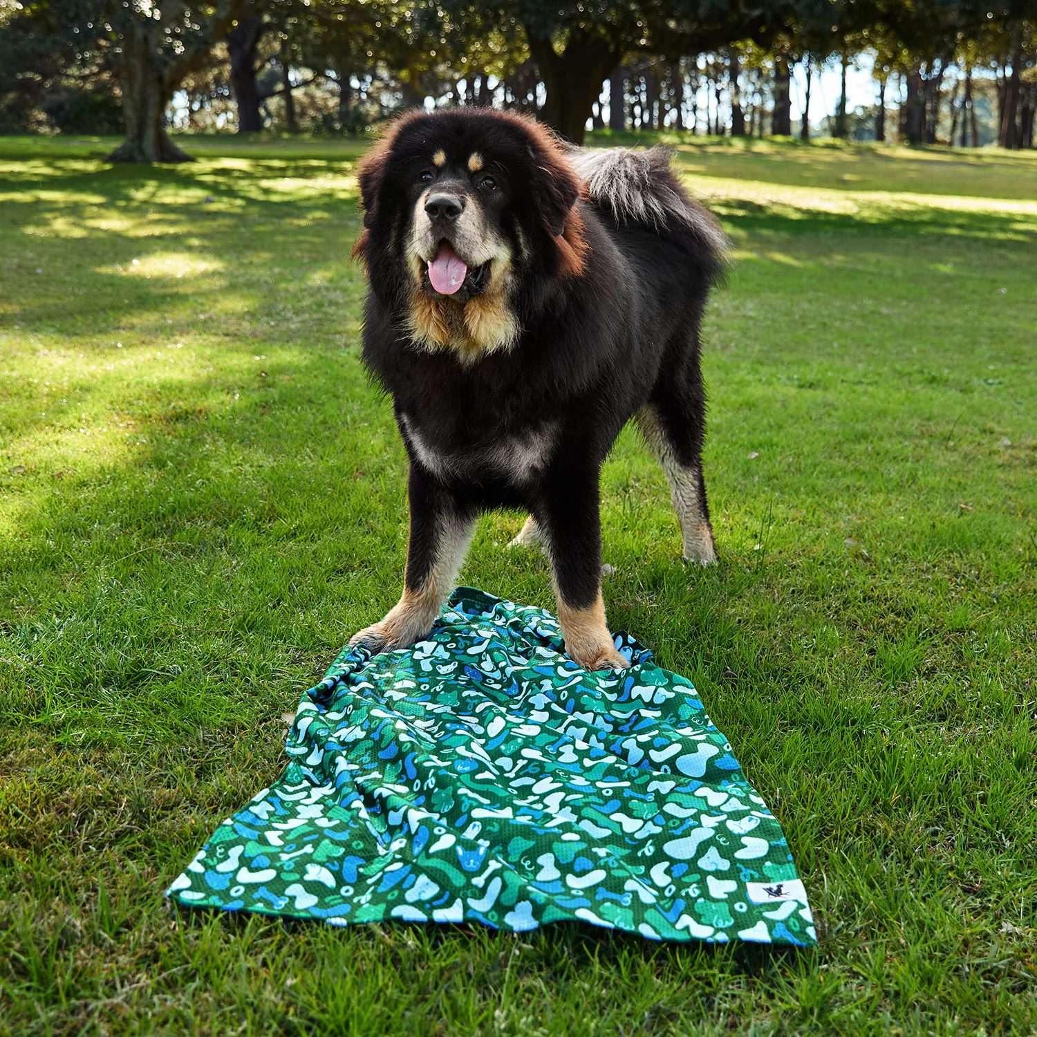Dock & Bay Dog Towel - Where's Woofy - Image 6