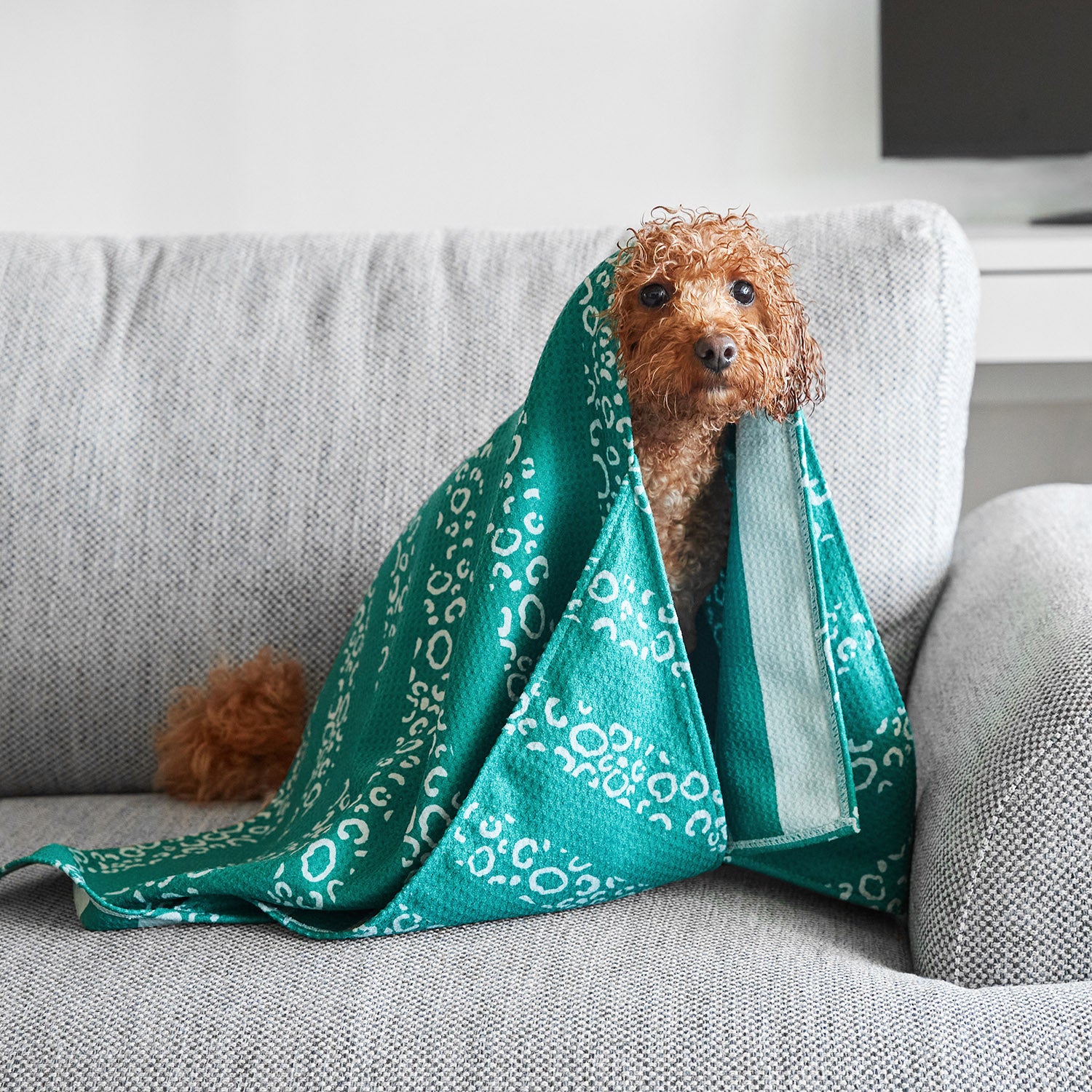 Dock & Bay Dog Towel - Woofs Go Wild - Image 3